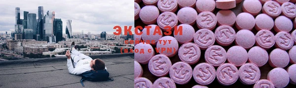 ECSTASY Богданович